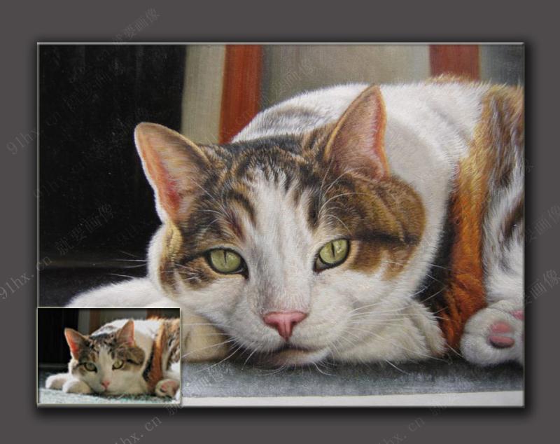 宠物猫油画